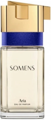 Somens Aria тестер