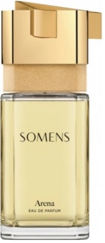 Somens Arena тестер