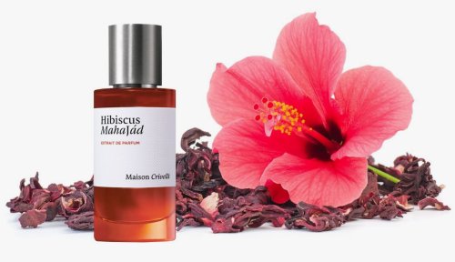 Maison Crivelli Hibiscus Mahajad картинка