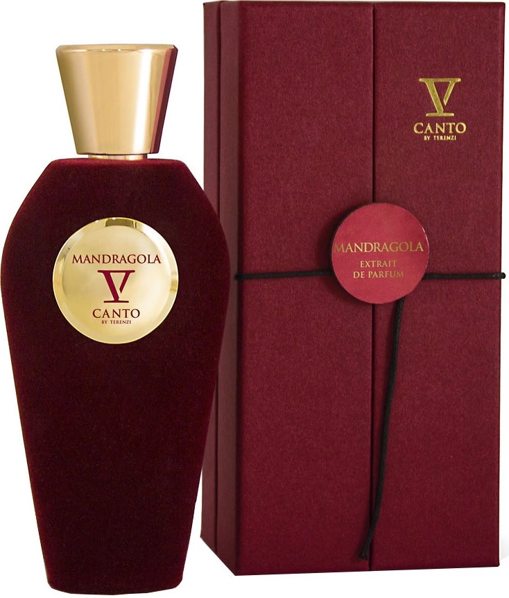 V Canto Mandragola exdp 100.jpg