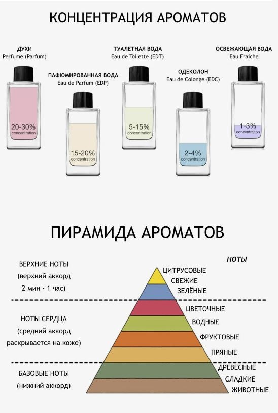 Структура парфюмерии рисунок 2.JPG