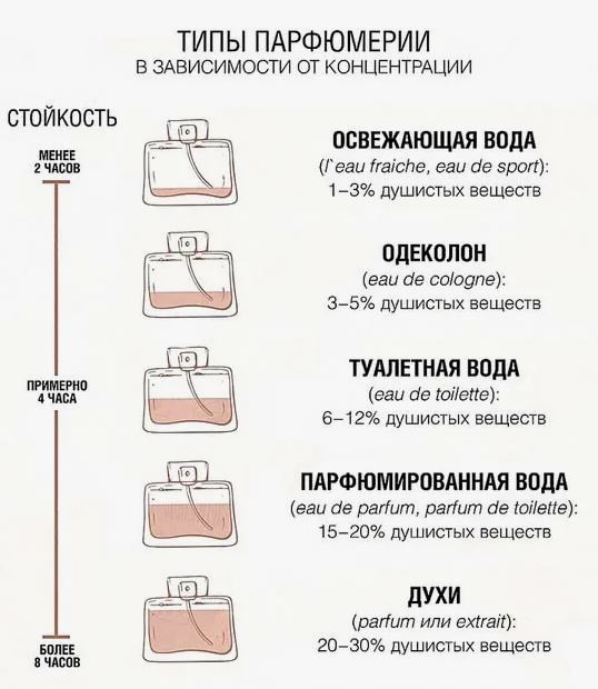 Структура парфюмерии рисунок.JPG